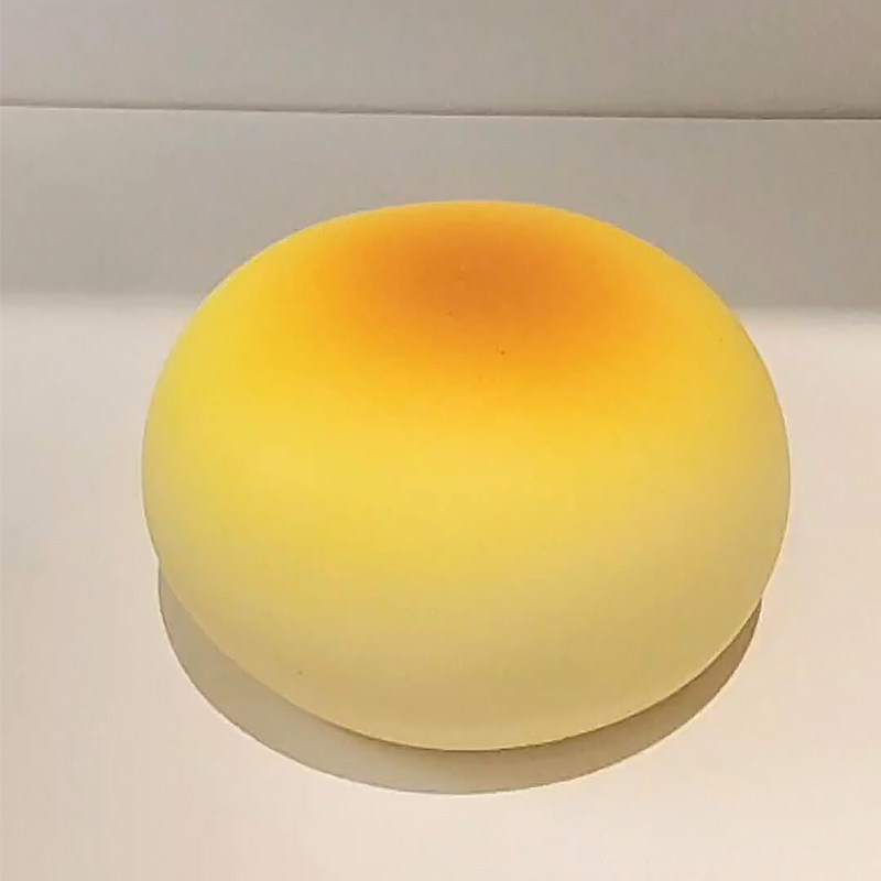 Giocattolo Squishy a Forma di  - Health Wellness Solutions recensione e prezzo