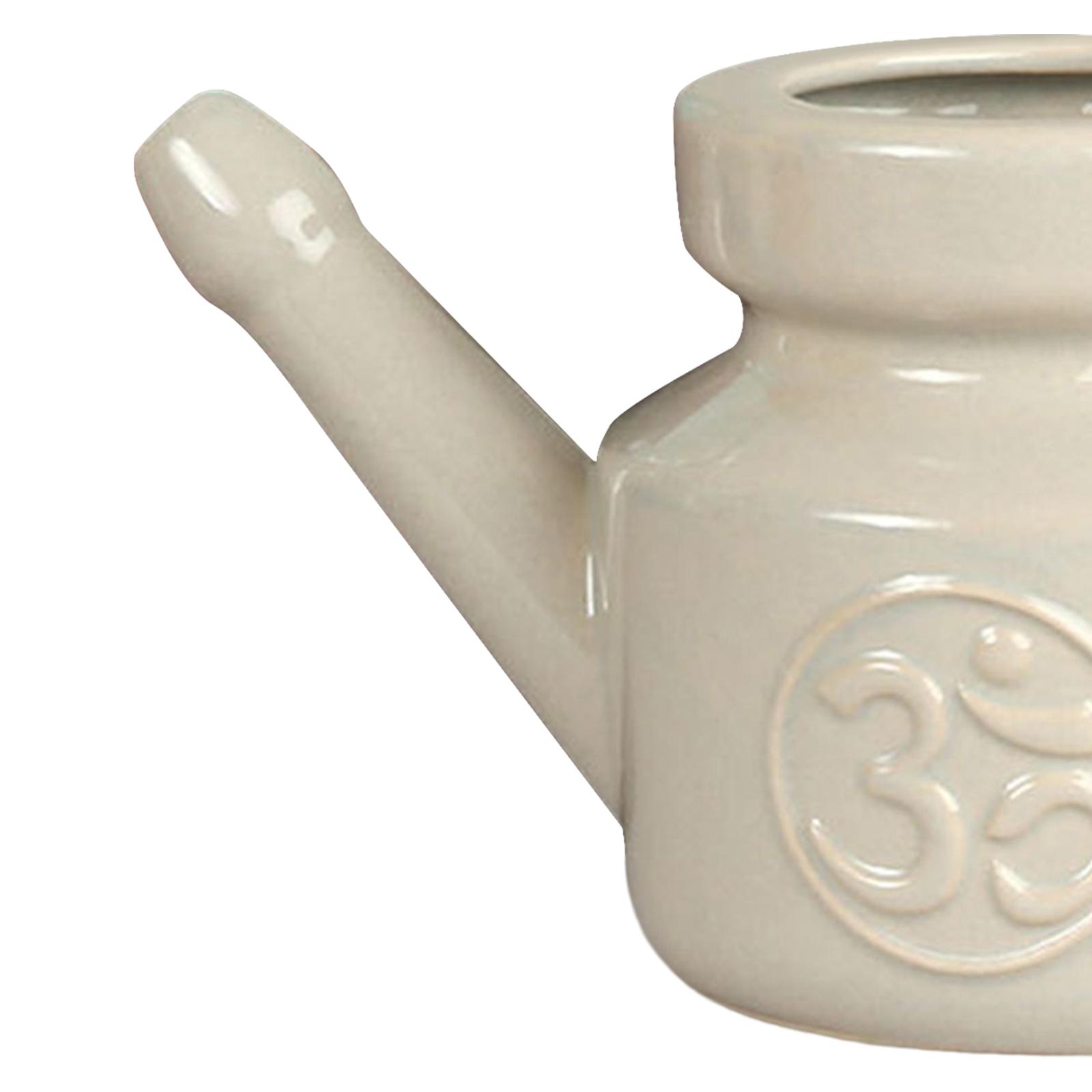 Contenitore con Beccuccio da 3 - Neti Pot Nasal Rinse recensione e prezzo