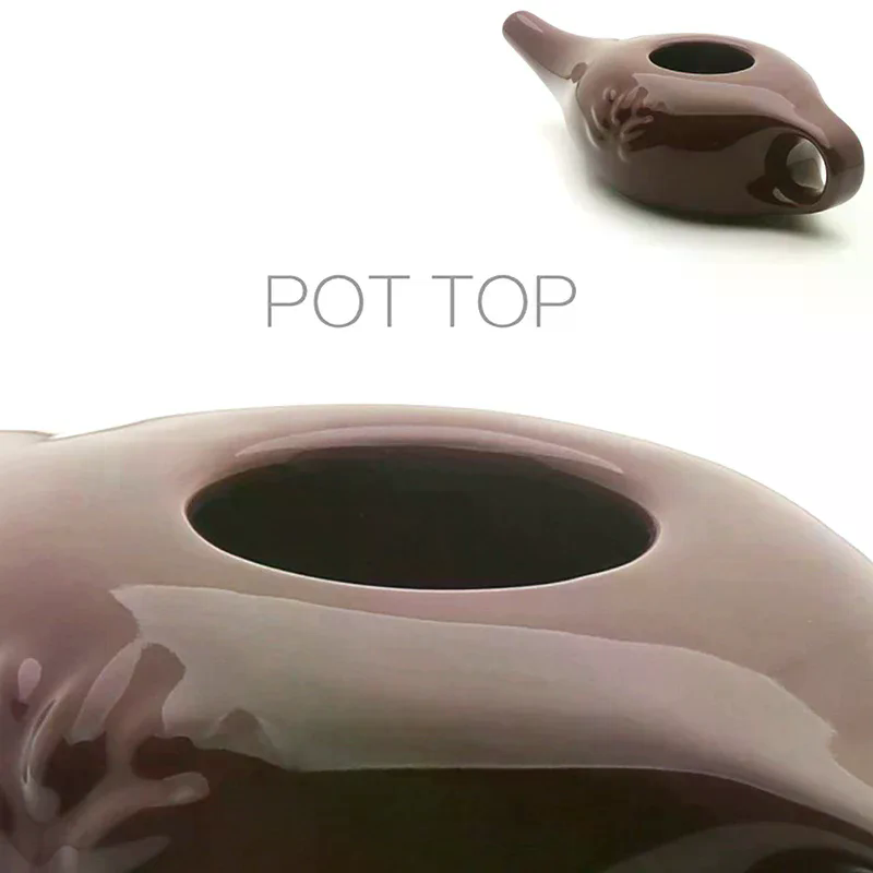Per Sinus Rinite Allergia Naso - Neti Pot Nasal Rinse recensione e prezzo